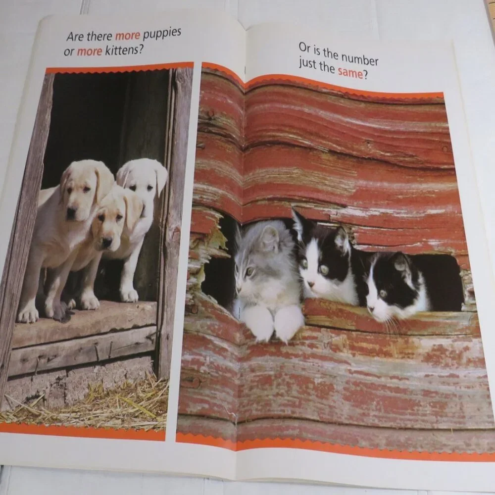 More OR Less BIG BOOK (almost 2 feet tall) with teacher pages CLASSROOM SIZE